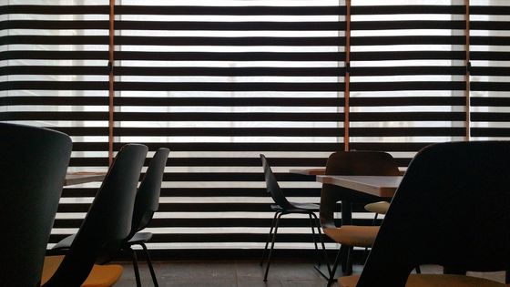 Zebra Double Layer Office Window Drapes Blind Cordless With Smart Motor