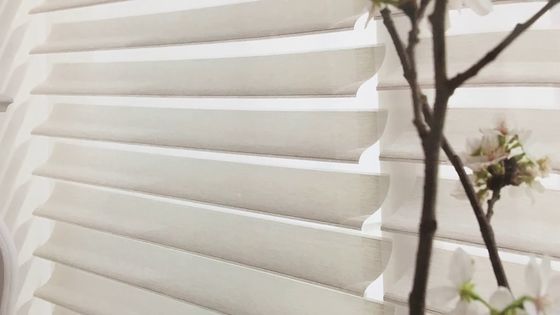 Indoor Sheer Elegant Shangri La Blinds For Bedroom Living Room