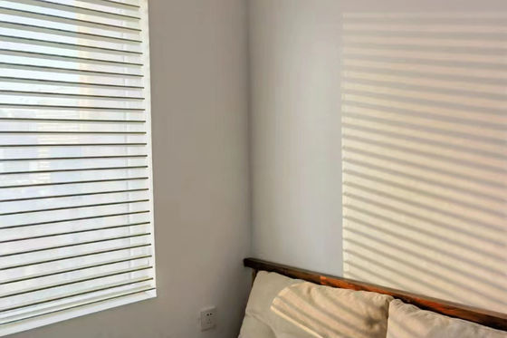 Double Sheer Zebra Window Blinds Motorized For Office Cafe Hotel