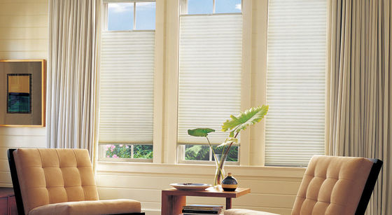 Day And Night Honeycomb Curtains For Living Room Electric Lifting Shutter Curtains Shading